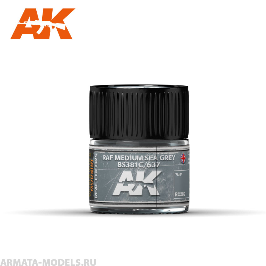 RC289 Краска Real Colors RAF Medium Sea Grey BS381C/637 - 10ml