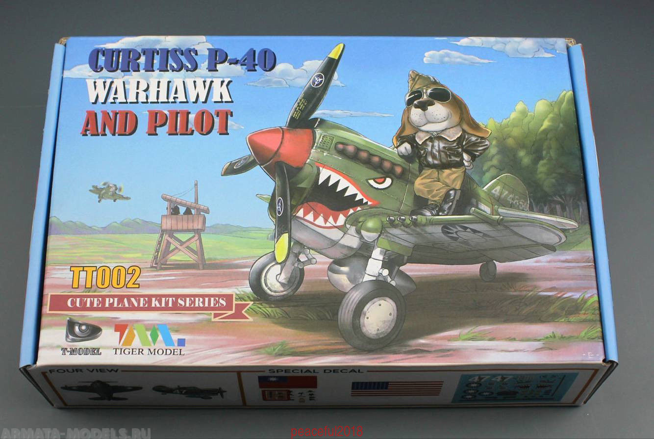 TT002 Cute  U.S P-40 Warhawk ( Contains a Tiger Model