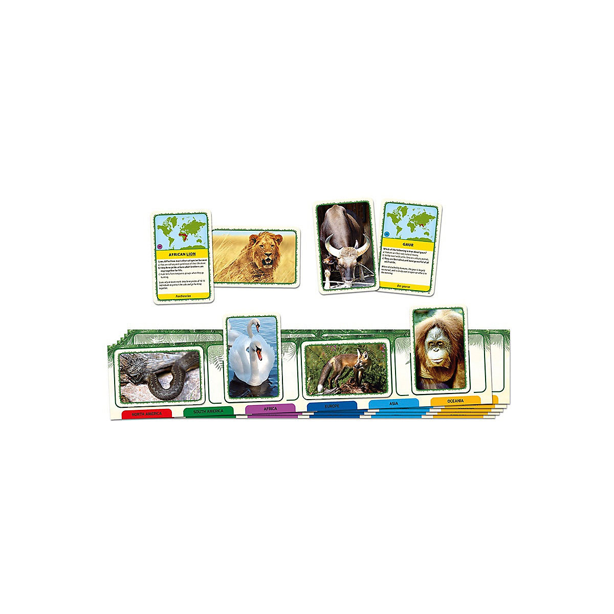 TAC58087 Животные мира