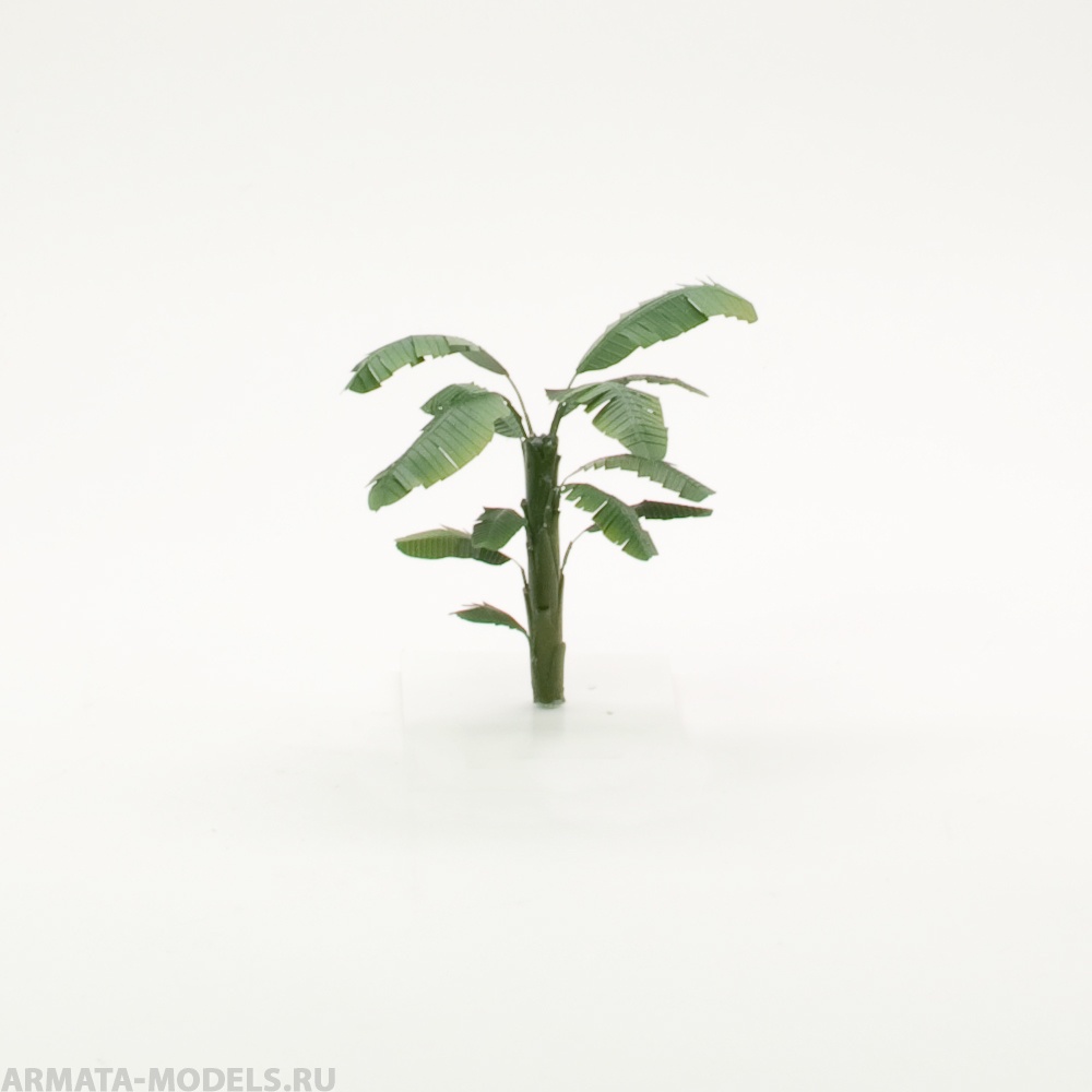 S071MWP Ствол банана, размер XS, 3 шт.