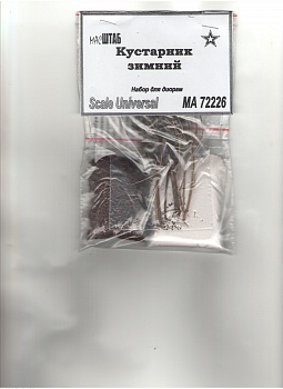 72226 Кустарник зимний