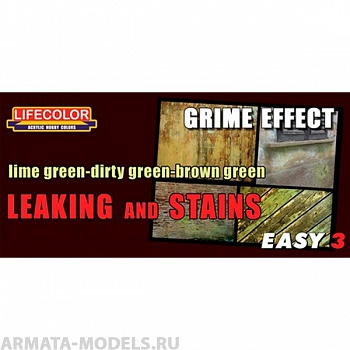 MS12 LEAKING AND STAINS DAMP EFFECT