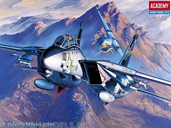 12471 Самолет  F-14A